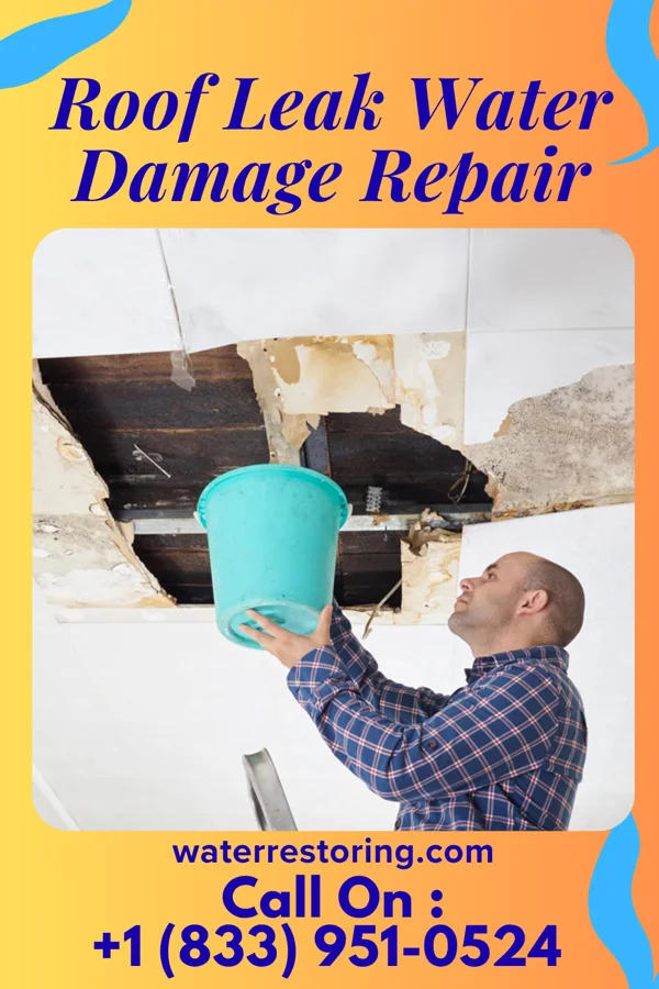 Roof Leak Water Damage Repair in Wykoff, MN