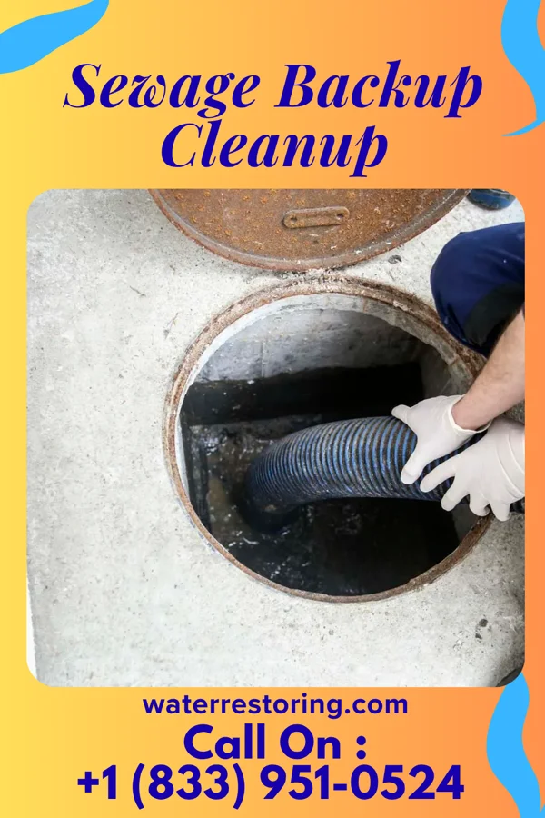Sewage Backup Cleanup in Wykoff, MN