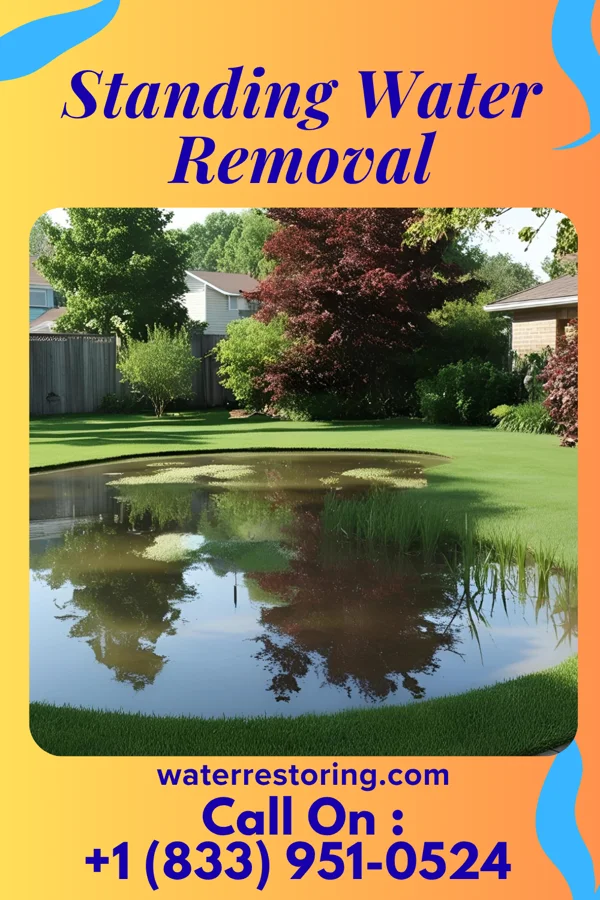 Standing Water Removal in Wykoff, MN